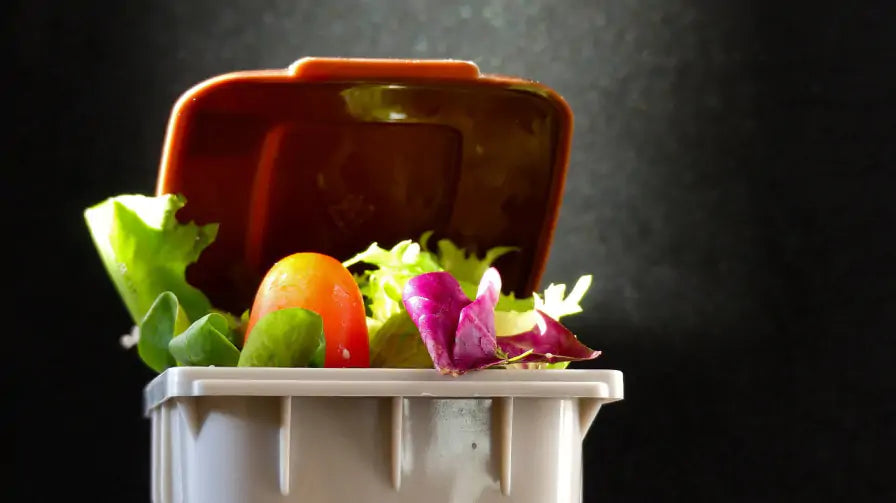 Colchester Council is set to Expand Food Waste Recycling Scheme