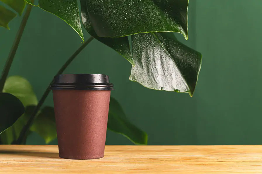 In The News: Paper Coffee Cup