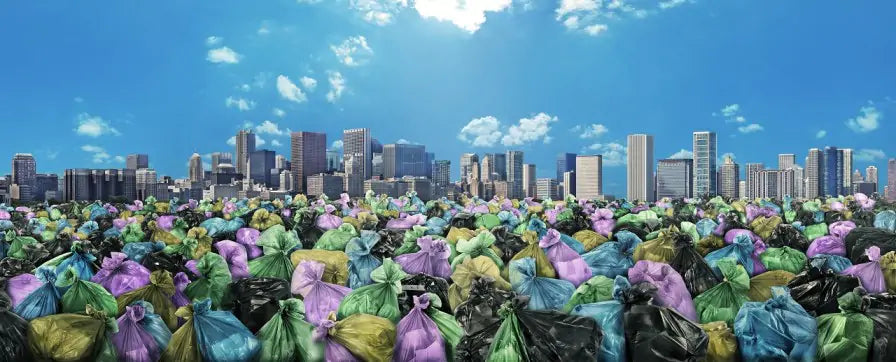 Dear Recycling Bins: Drowning in a Sea of Plastic Bags